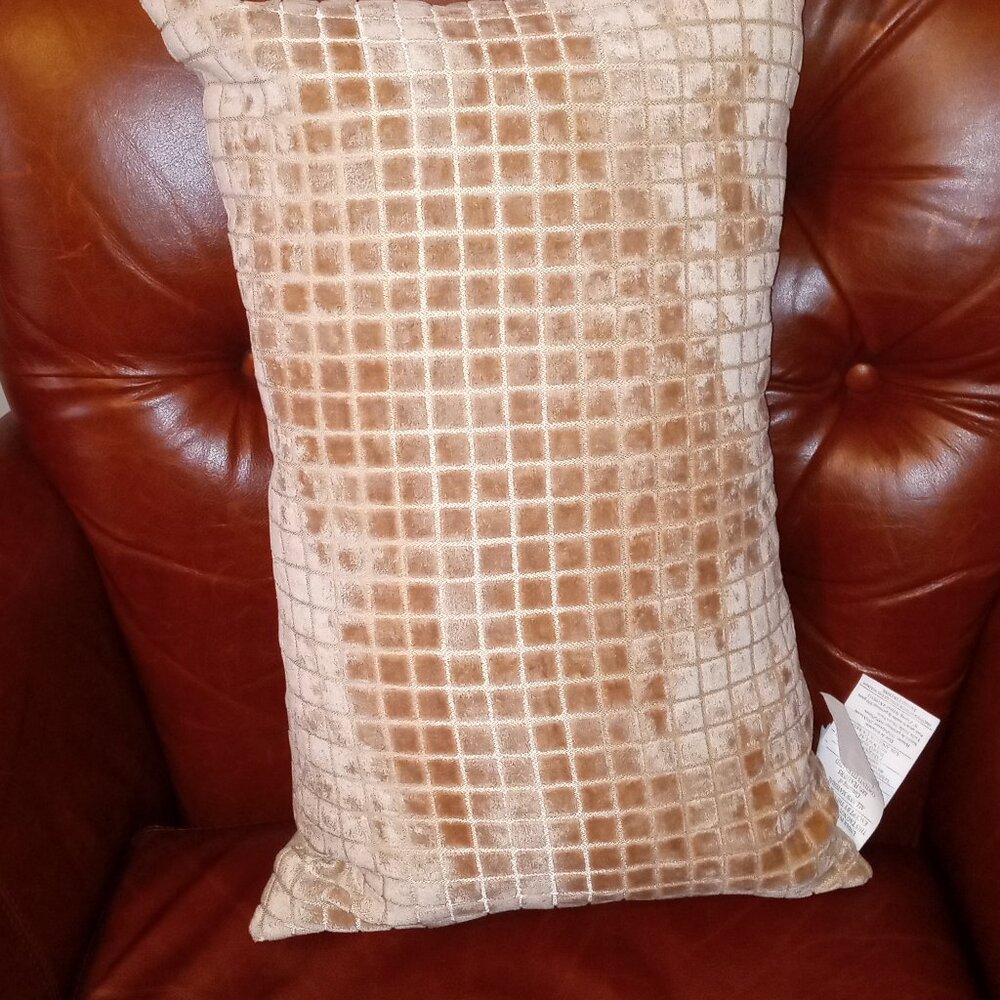 Rodeo Home  New Accent Pillow